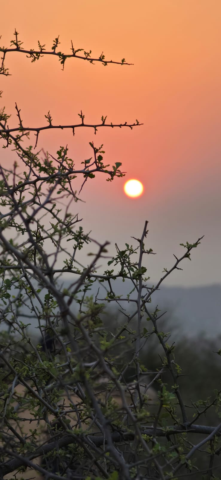 Sunrise over an Aravalli trail in Rajasthan